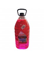 Омыватель стекла летний STANDARD Арбуз 5л