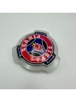 Эмблема с подсветкой SCANIA LED Белая