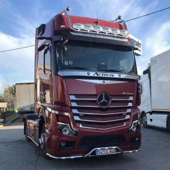Накладка из нержавейки под лобовое стекло "Мухобойка" Mercedes MP 4