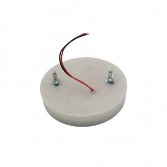 Фонарик-эмблема DAF неоновый большой 24v белый