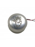 Фонарик-эмблема SCANIA неоновый маленький 24v синий