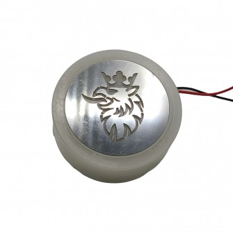 Фонарик-эмблема SCANIA неоновый маленький 24v синий